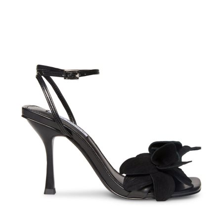 Black Steve Madden Amani Women's Heels Sandals | PH 8314GBK